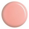 Egg Pink - DC 158
