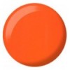 Orange Sherbet - DND 713