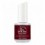 BRANDY WINE - IBD JUST GEL