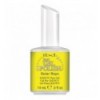 SOLAR RAYS - IBD JUST GEL