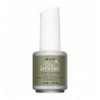 Jade Dynasty - IBD JUST GEL