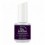 Perfectly Paisley - IBD JUST GEL