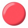 Coral Craze DIVA 232