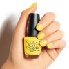 Exotic Birds Do Not Tweet - OPI Vernis à Ongles